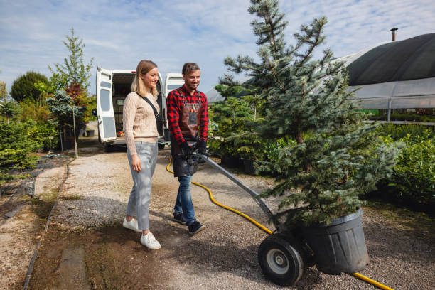 Trusted Dublin, PA Tree Care Services Experts